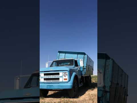 1970 Chevrolet C50 (CC-1539810) for sale in Brighton, Colorado