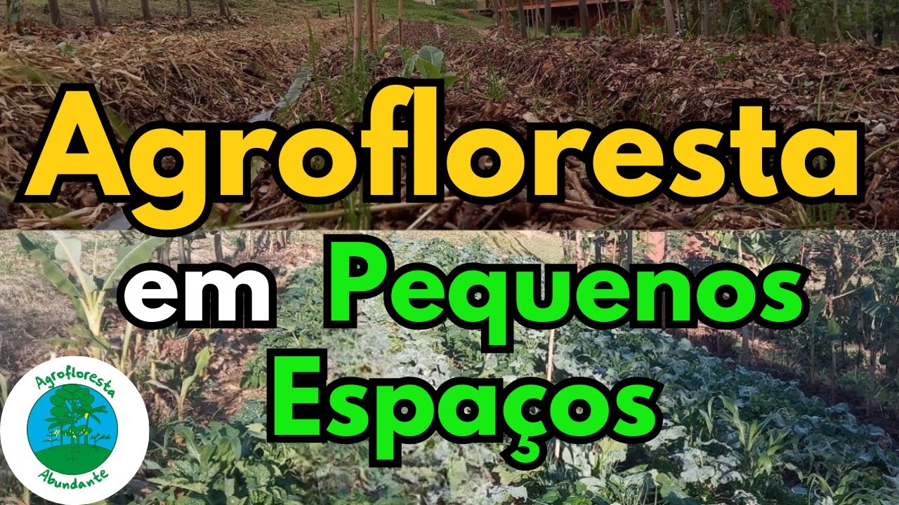 Agroforestry in Small Spaces - Agroforestry in Small Properties - Agroforestry in the Backyard