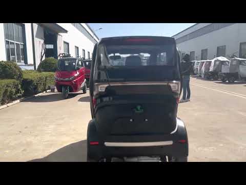 COOL!!!RUNHORSE & JINMA EV J1 in Black