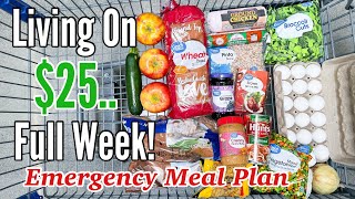 I Fed My Family for $25 This Week | Breakfast, Lunch & Dinner | Extreme Budget Meals at Walmart