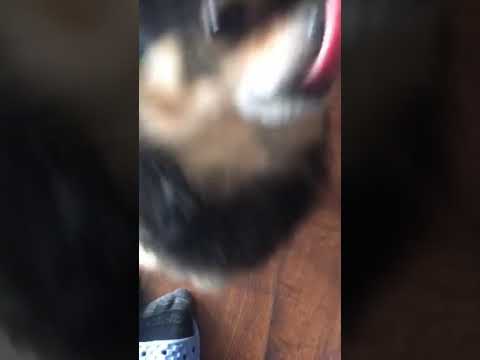 171105 Amber Liu insta live