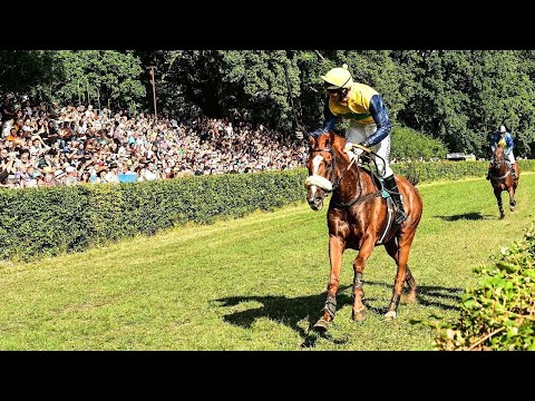 ŽIVĚ 🔴 | dostihy Netolice – 13. 8. 2023