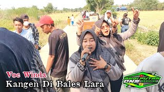 Download lagu ANDI PUTRA 1 Kangen Di Bales Lara Voc Winda Live Bogor Kroya Tgl 15 Agustus 2023 mp3