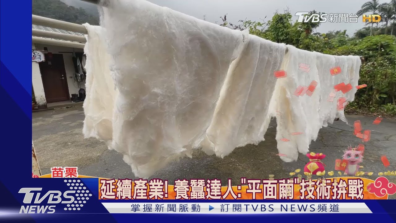 台灣手工蠶絲被! 「養蠶、脫殼、拉製」一條龍