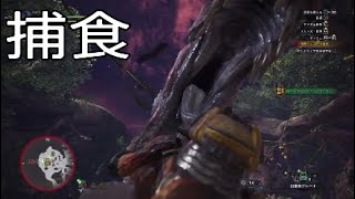 こいつが寝る場所、戦いにくすぎやろ...【MHW実況】part 8