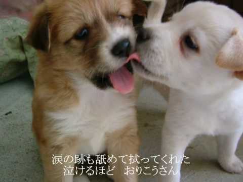 永遠にいちばん近い日まで ｎａｖｙ＆ｉｖｏｒｙ.wmv