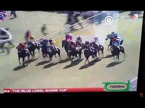 Tandragee Win Barbe cup 2017