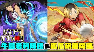 【パズドラガチャ縛り】滑り込みハイキューコラボ降臨攻略の巻【ゆっくり実況】part.123