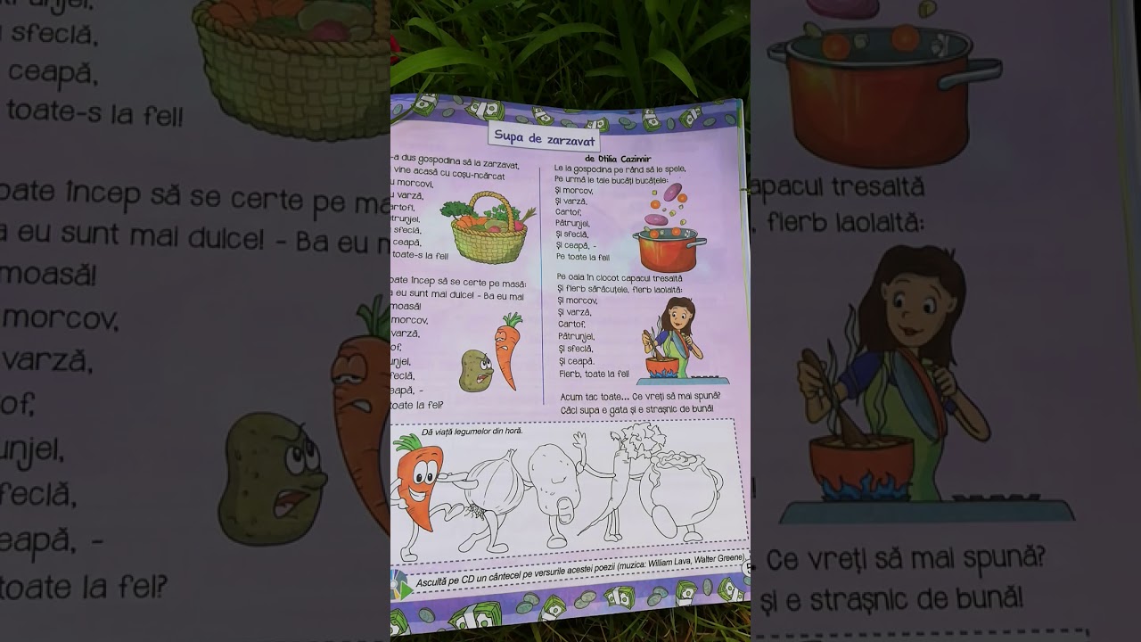 Supa de zarzavat-de Otilia Cazimir