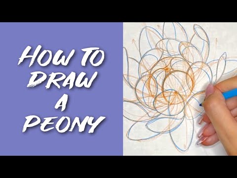Episode 12: How to draw a PEONY