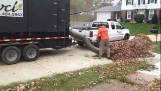 preview picture of video 'Leaf Removal Service & Leaf Collection'