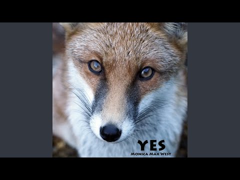 Swimming Against the Tide