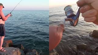 Ссылка