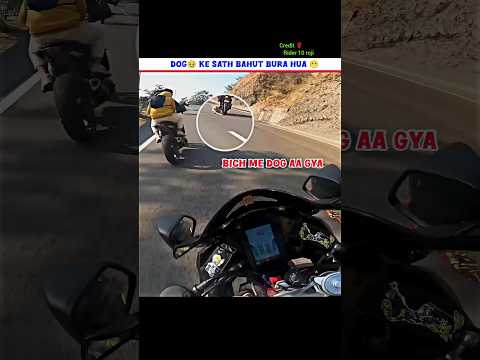 dog 🥹ke sath bahut bura hua 😬#shorts #viralvideo #motovlog