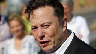 'Total bs': Elon Musk denies affair with Google co-founder Sergey Brin's wife