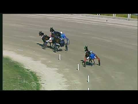 Napoli Trotto 11/11/2022 - 1ª prova di qualifica