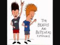 Beavis And Butthead Whatever Dumb Ass