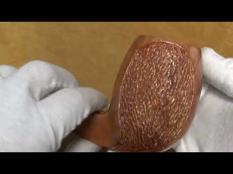 Pipa Viprati Collection Rusticata - Freeform (VI157)