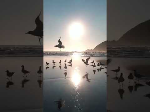 Putham puthu kalai song in dubai beach vibes ready to sun 🌞 rises good morning #goodmorning