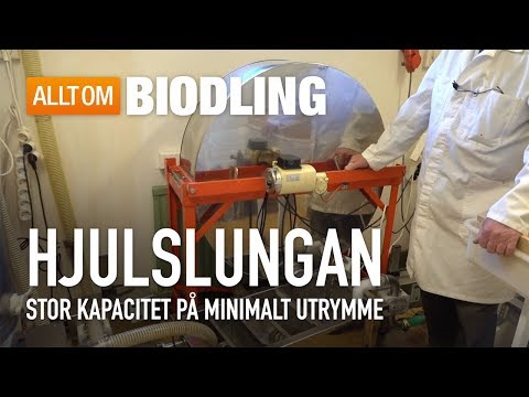 Hjulslungan - Honungsslungare - Biredskap - Biodling