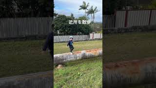近所を散歩