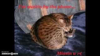 Really fast bo en-By The Phone