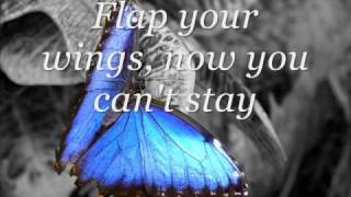 Miley Cyrus ft. Billy Ray Cyrus- Butterfly Fly Away ( with Lyrics)