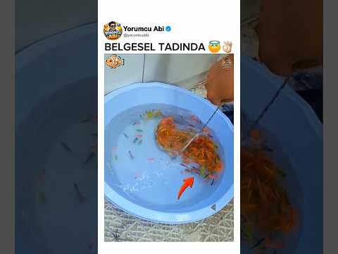 🐠 Petshop'tan Aldığı Neon Balıkları Akvaryuma Koydu, Akvaryum Rengarenk Oldu 🥰 #shorts #fish