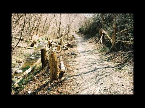 A. LYADOV " Variations on Polish Folk Theme" - TATYANA NIKOLAYEVA - Татьяна Николаева [Vinyl record]