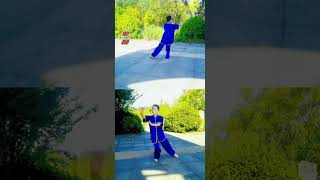 16-Form Tai Chi Step by Step Tutorial