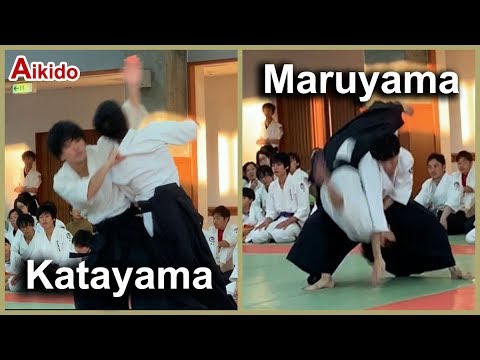 Dynamic Aikido！Demonstration - Maruyama＆Katayama