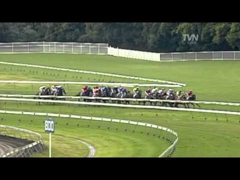 2010 Epsom Hcp - Captain Sonador
