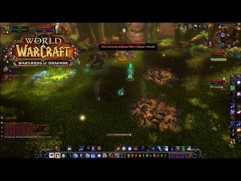 Uralte Beschützer - Guide - Heroisch  ✖  (Immergrüner Flor)