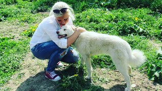 ЛАЙКИ СОШЛИ С УМА,КОГДА ПРИЕХАЛА СЕСТРА!!!