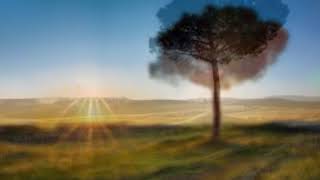 Plug In Stereo - A Little Peace