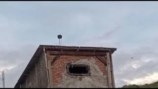 Download lagu SP NAGA PUTIH MENGAMUK DI DOMPU.SULAWESI SELATAN BOSKU👍🏻👍🏻👍🏻 mp3 Download lagu SP NAGA PUTIH MENGAMUK DI DOMPU.SULAWESI SELATAN BOSKU👍🏻👍🏻👍🏻 mp3