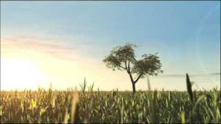 Malte & Marc De Clark No More Rain original mix
