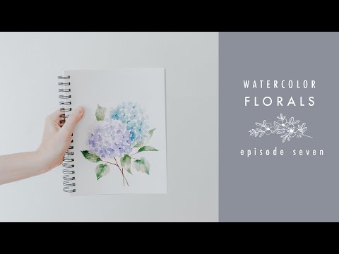 How To Paint Hydrangeas: Watercolor Florals Episode Seven Video