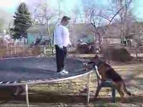 Bridget and her ball