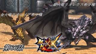 【狩猟スタイルは十人十色！】MHXX実況 第66話
