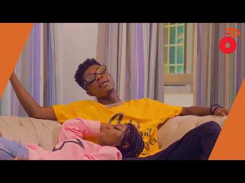 INSIGHT - KING PRINZ