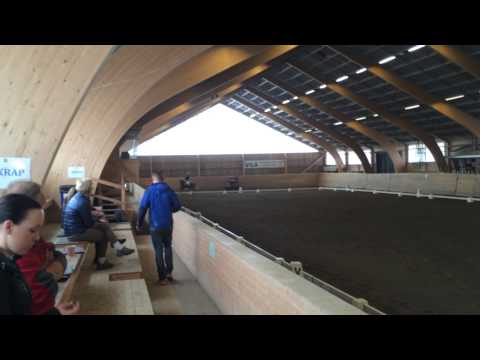 Vilgot MSV C:2 71,3 %