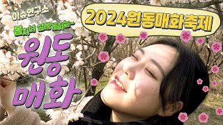 2024 이슈연구소 원동매화