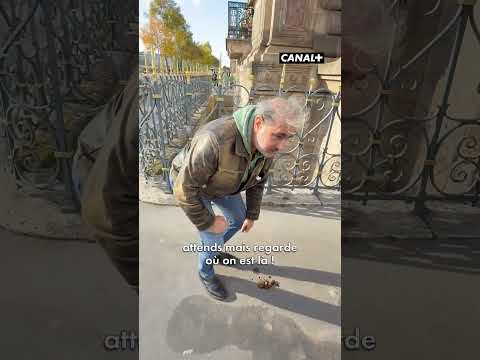 Il a retrouvé les bijoux du #Louvre ! #Humour #Groland #Shorts