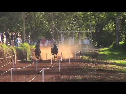 DATA : 01 / 10 / 2023  J.C.BEIRA RIO. DESAFIO DE AMIGOS. ROBIN X SAFIRA