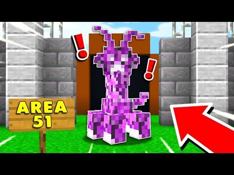 TROVO L'AREA 51 NEL MIO MONDO DI MINECRAFT!