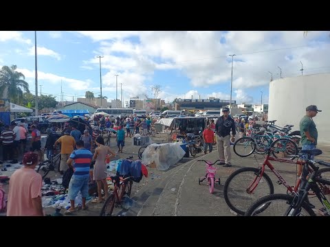 Plantão das feiras hoje na feira das trocas de Itabaiana Sergipe 29 07 2026 