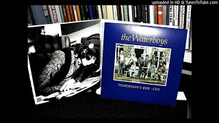 The Waterboys - saints and angels