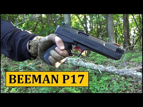 Beeman P17 Pellet Pistol ($40-50) Review - Budget Friendly Air Gun Series