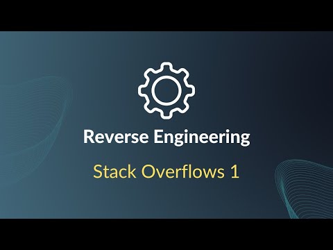 Intro to Reverse Engineering - Stack Overflow with Variable Data